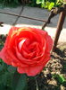 IMG_20140523_170927
