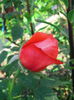 IMG_20140523_170949