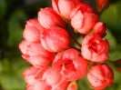 DSCN3143