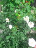 IMG_20140527_095558