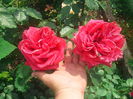 IMG_20140527_095624