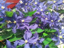 IMG_20140527_095908