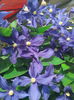 IMG_20140527_095919