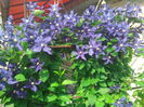 IMG_20140527_095926