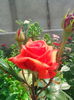 IMG_20140527_100519