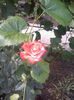 Imperatrice Farah