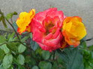 IMG_20140430_110728