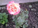 2014-06-26 11.00.52