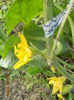 DSCN5612