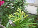 DSCN5630