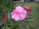 DSCN5632