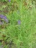 DSCN5614 - Copy