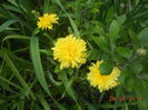 DSCN5627