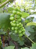 DSCN5639