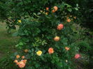 gartenspass