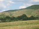 in natura 001