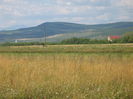 in natura 003