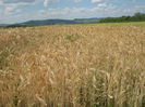 in natura 005