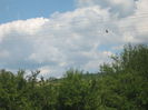 in natura 008