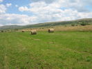agricultura in Romania 001