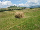 agricultura in Romania 002