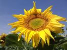 IMG_20140629_135818