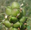 IMG_20140629_140820