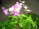 DSC09330