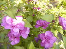 P1220694