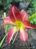 IMG_20140627_173758