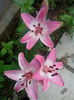 IMG_20140627_173834
