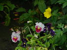 DSCN9193