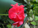 DSCN9197