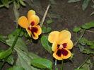 DSCN9209