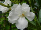 DSCN9219