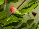 DSCN9220