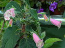 DSCN9257