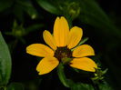 DSCN9278