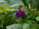 DSCN9304