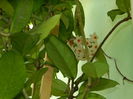 DSCN9309