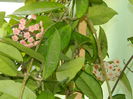 DSCN9312