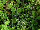DSCN9348
