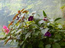 DSCN9356