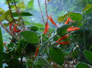 DSCN9362