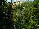 DSCN9403
