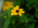 DSCN9411