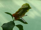 DSCN9433