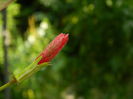 DSCN9437