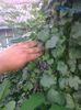 29 iunie 20142023
