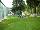 P1550357